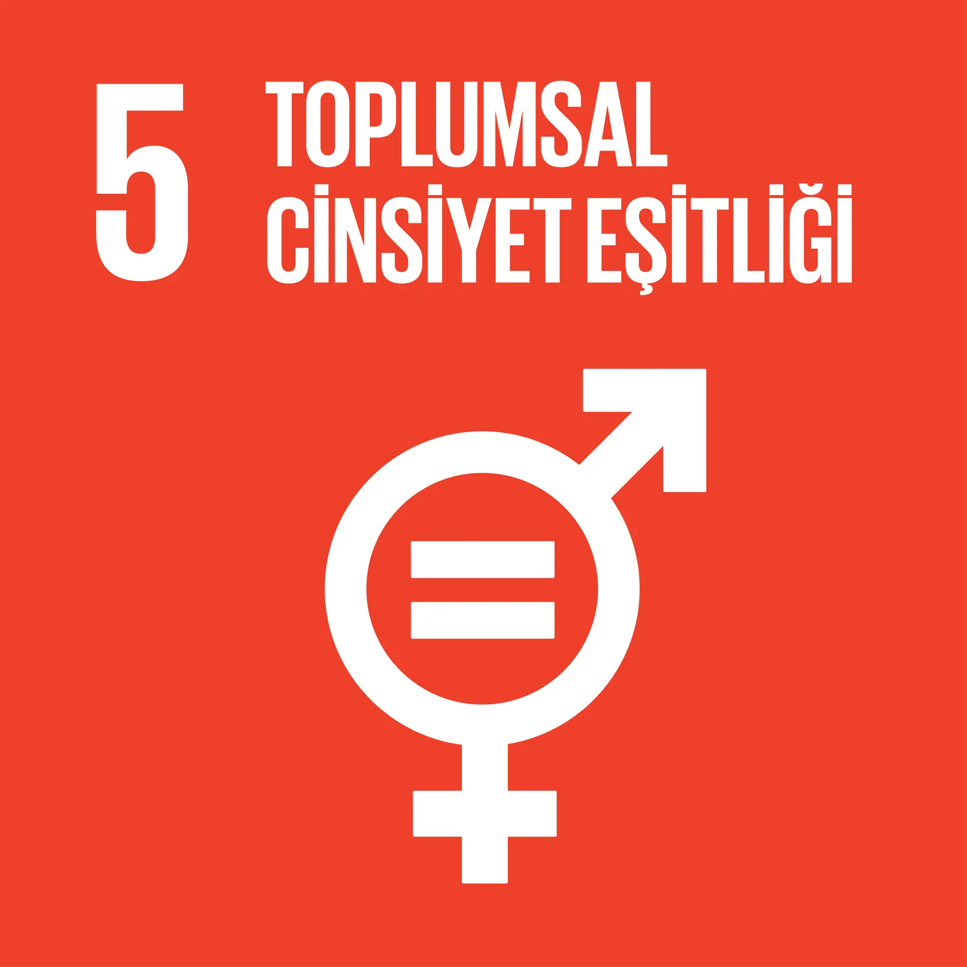 Gender Equality NPGI